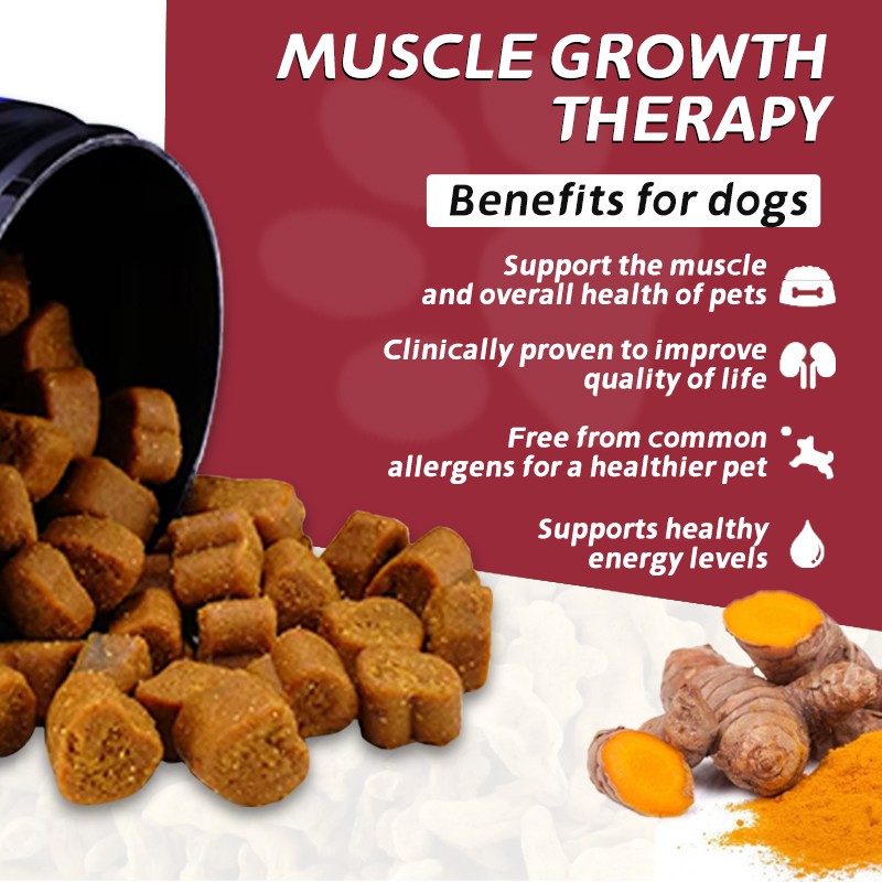 Muscle Gain Power Soft Chews Strengthens Muscle Growth Maintenance Suppelments Pet Nutritional Muscle Builder for Dogs