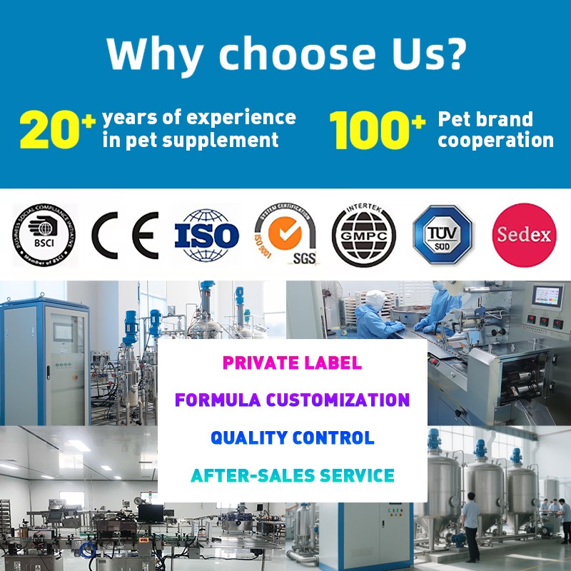 Pet Yuan OEM ODM Private Label Factory Supply Digestive Probiotic Soft Chews for Dogs Pet Multivitamin Nutritional Supplement