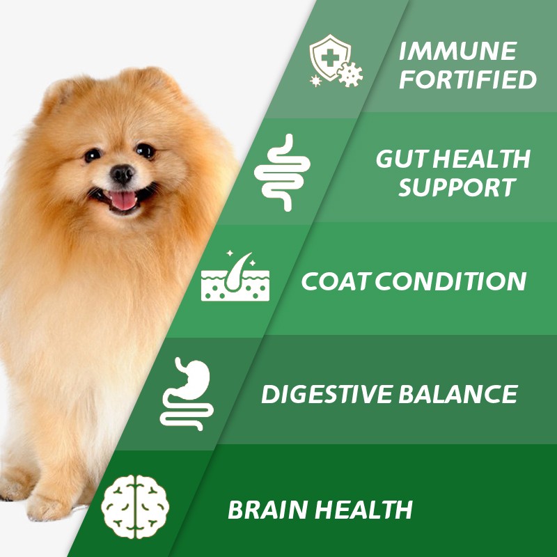 Custom Dog Immunization and Allergy Support Chewing Tablets Reduce Itching and Licking Balance Intestinal Health