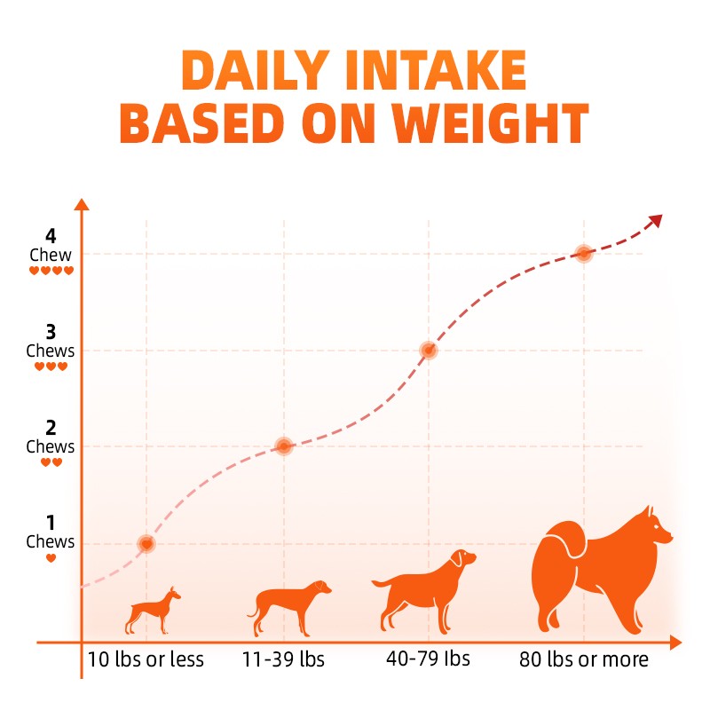 Pet Yuan Pet Probiotic 12 in 1 Custom Support Health Digestive Dog Supplement Probiotics Support