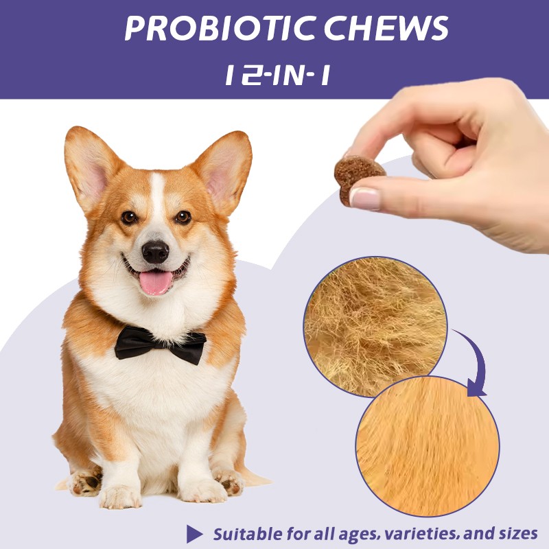 Pet Yuan Custom Support Health Digestive Dog Natural Supplement Promote Healiny Bowel Digestive and Immune Health Probiotics