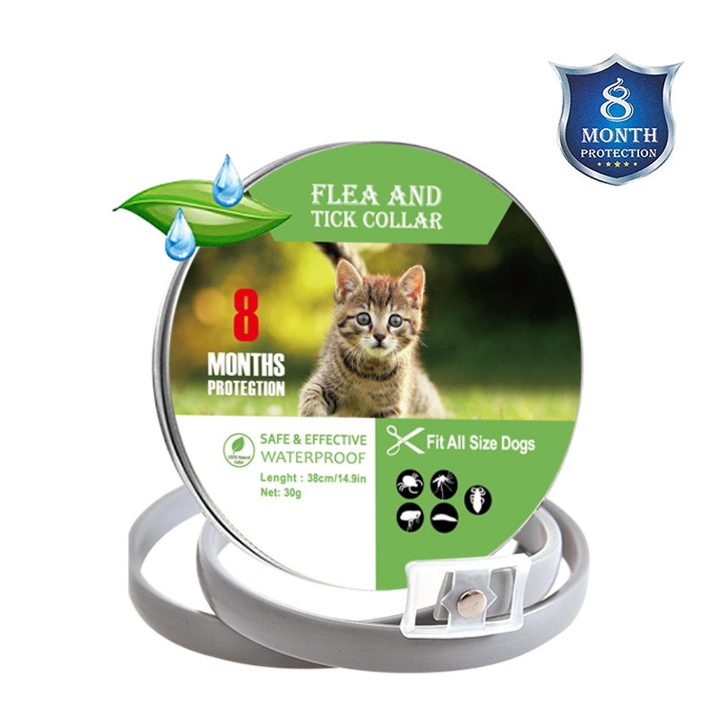 Solid Pattern Anti-Insect Anti-Allergy Cat Dog Collar Ribbon Decoration Natural Rubber Pet Collar Anti-Flea Anti-Tick