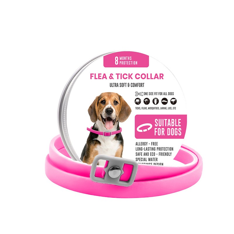 China Factory Supply  Pet Collars Leashes Harnesses Leather Pet Collar Smart Collar for Pets