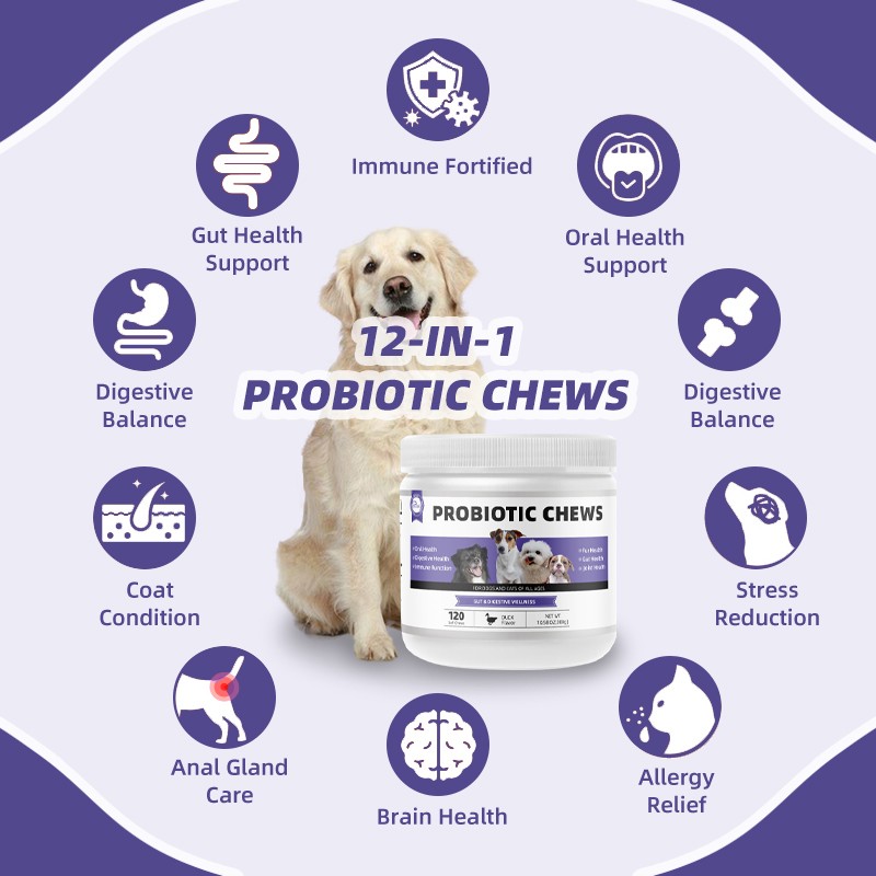 Wholesale Daily Health Supplements and Chewable Tablets for Cats and Dogs 12 Types of Probiotics to Protect Pet Health