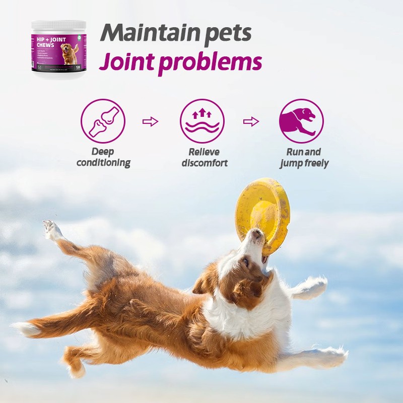 Pet Yuan Dog Cat Chews Pet Hip and Joint Support Supplement Natural Turmeric Curcumin Dog Chews