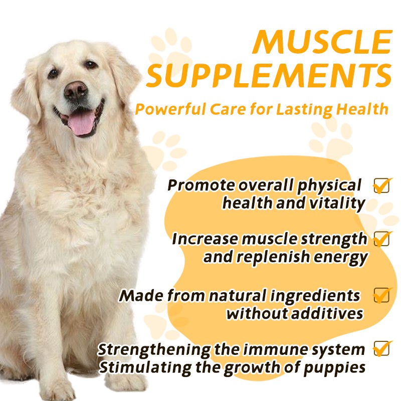 Pet Supplement High Protein  Soft Chews Immune System Strengthen  Muscles Builder Supplement Racing Dogs Bites
