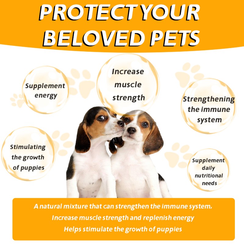 Pet Supplement High Protein  Soft Chews Immune System Strengthen  Muscles Builder Supplement Racing Dogs Bites