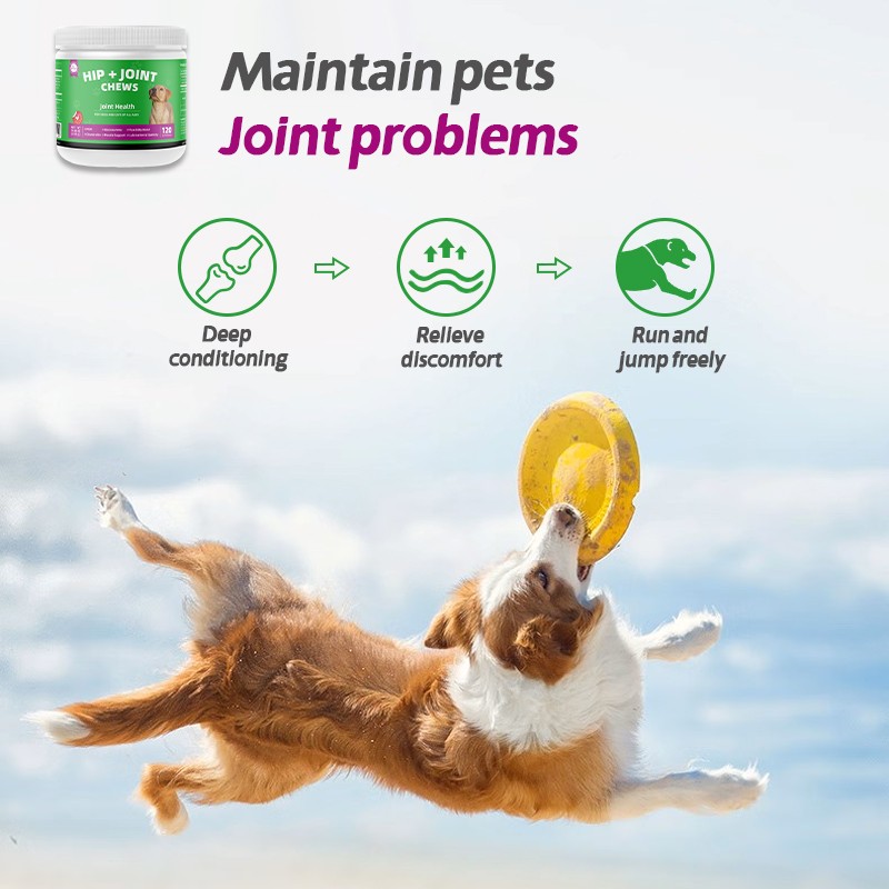 Pet Yuan Private Label Natural Chondroitin Hip and Joint Soft Chews Pet Nutrition Supplements