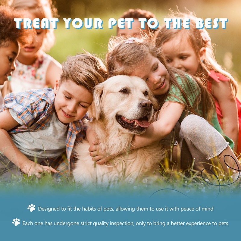 Powder Improve Digestion Absorption Nutritional Supplement Treat Supplement Natural Pet Nutrition Prebiotics for Cat