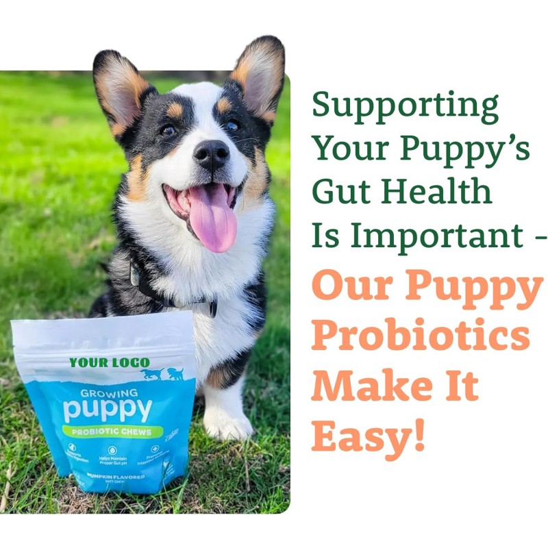 Pet Vitamins Supplement 15-in-1 Multivitamins Tablets Immunity Digestion Joint Heart Health Supplements for Dog