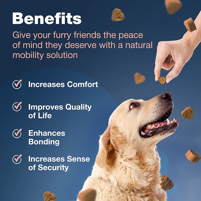 Private Label Bulk Immune Support Overall Health Dog Health Vitamin Supplements Multivitamin Tablets Dog Cat Vitamins