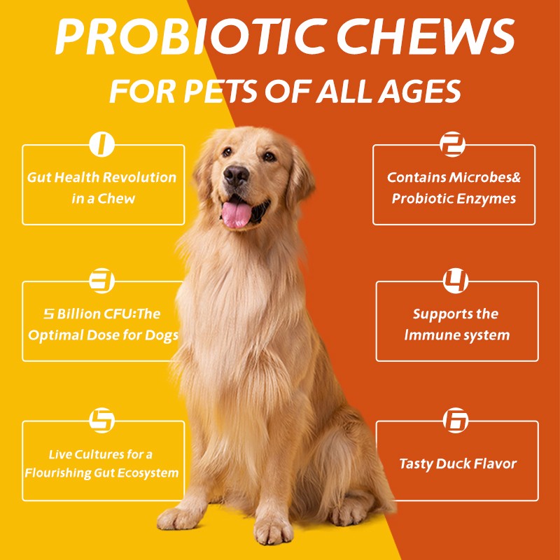 Pet Yuan OEM Pet Intestinal Health Soft Chew Supplements Soft Chew Pet Food and Supplements