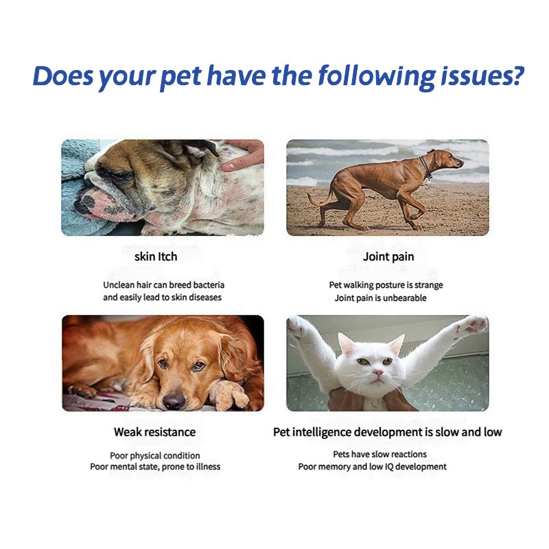 OEM Pet Fish Oil Heart Care Skin and Hair Improvement Omega 3 for Dogs and Cats