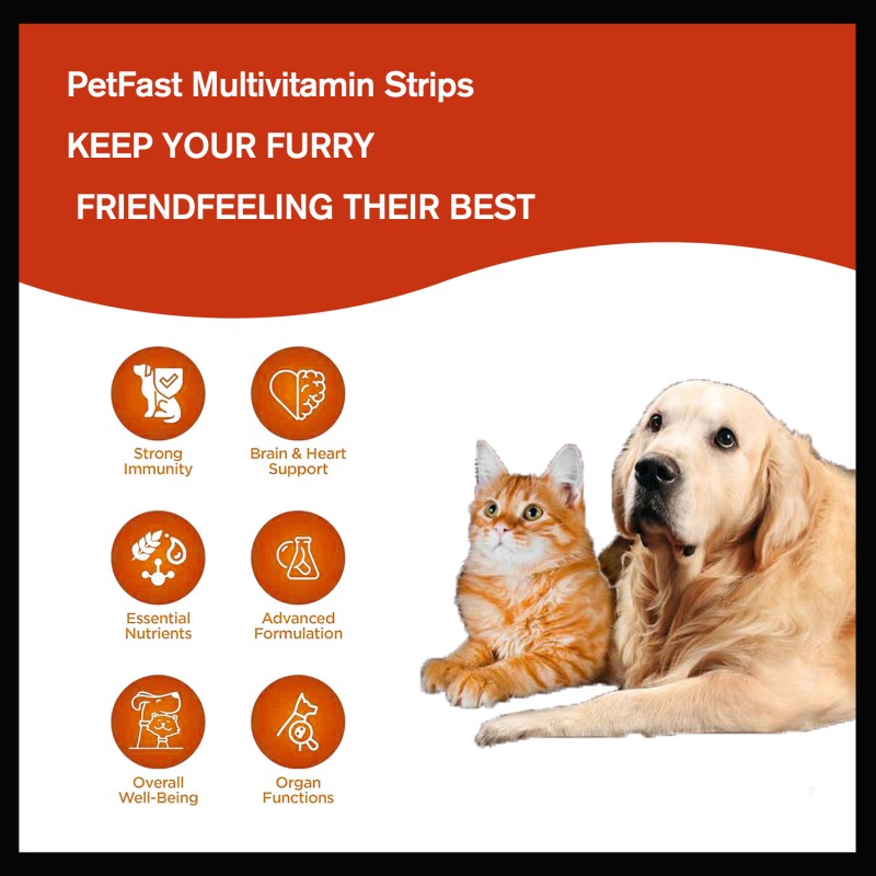 Professional Manufacturer 11 in 1 Complete Daily Multi Vitamin Chews for Pets Immunity Bones Skin Vitality Support