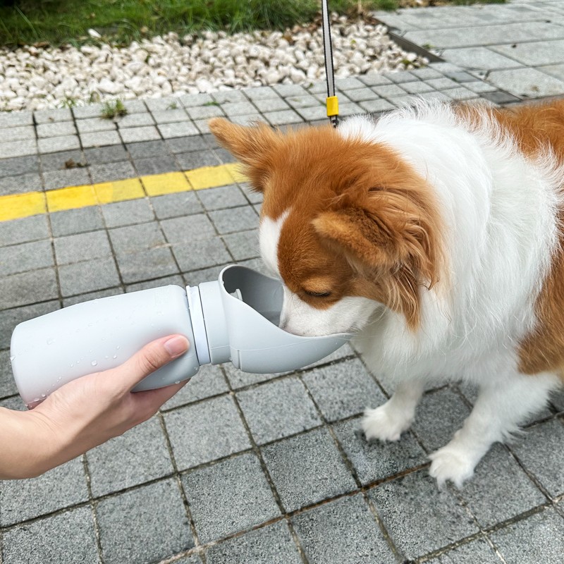 Dog Soft Silicone Portable Outdoor Water Bottle 550ml Foldable Large-bore Feeding Cup sealed and Leak-proof Drinking Bottle