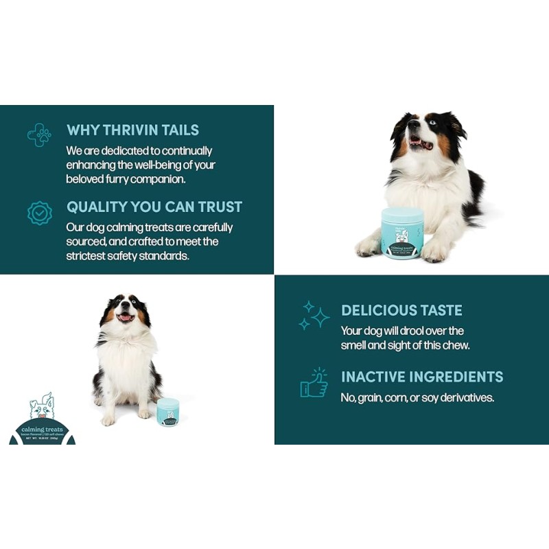 Custom OEM Fast-Acting Pet Calming Supplement Natural Ingredients Anxiety Relief Chews for Dogs Cats