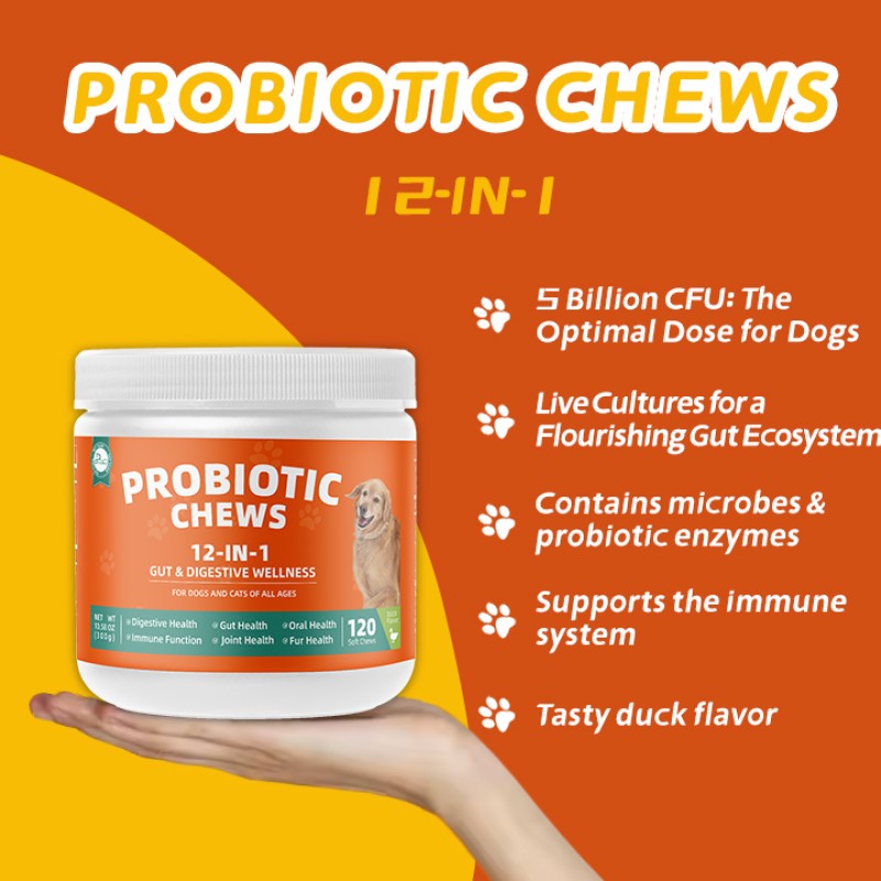Pet Yuan OEM Pet Intestinal Health Soft Chew Supplements Soft Chew Pet Food and Supplements