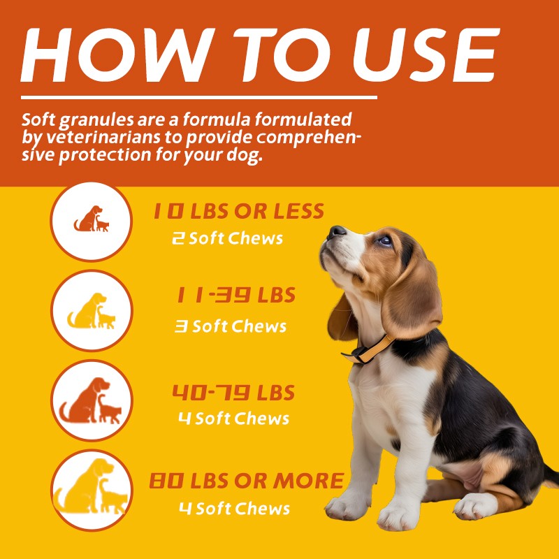 Pet Yuan OEM Pet Intestinal Health Soft Chew Supplements Soft Chew Pet Food and Supplements