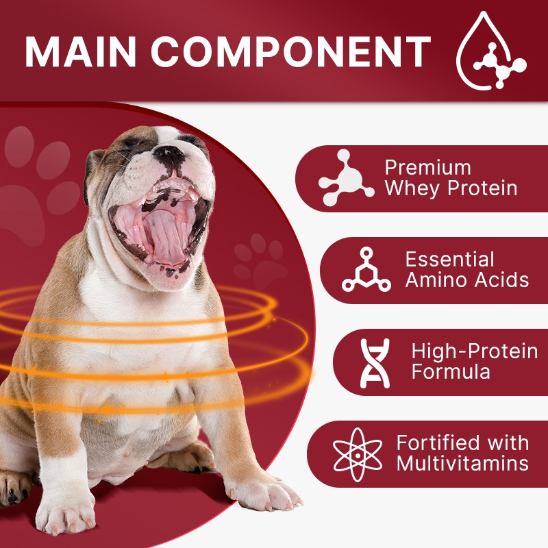 Pet Yuan OEM High Protein Dog Muscle Booster for Weight Gain High in Calories Pet Care Dog Muscle Builder Supplement