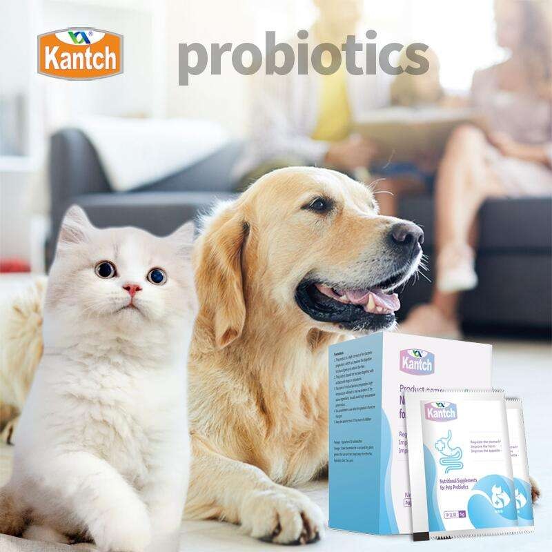 OEM Hot-Sale Dog Probiotics Nutritional Supplements Improved Stomach Appetite Supplements for Dogs Pet Health Care & Supplements