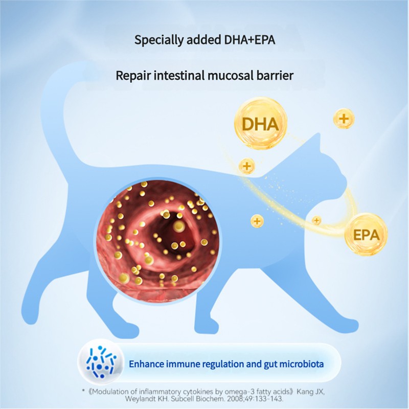 Soft Chewable Natural Dog Vitamin Dog Multivitamin Supplement for Immune Digestion Joints