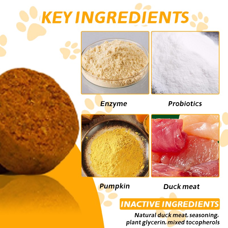 Wholesale Pet Probiotic Supplement Vitamins Probiotic Cat Supplement Promote Healiny Bowel