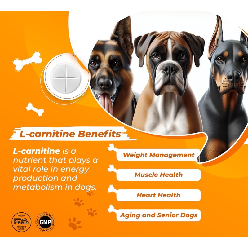 Immunity Digestion Joint Heart Health Support Pet Supplement Dog Liver Support Supplement for Dogs Liver Support