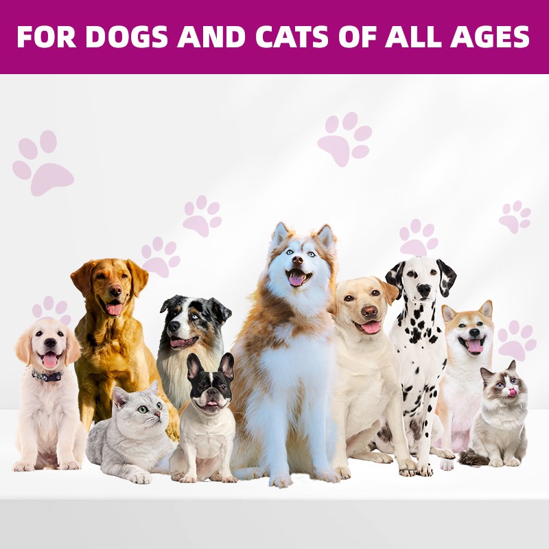 Pet Yuan OEM Private Label Hip Joint Supplement Chews for Joint Health Glucosamine Chondroitin