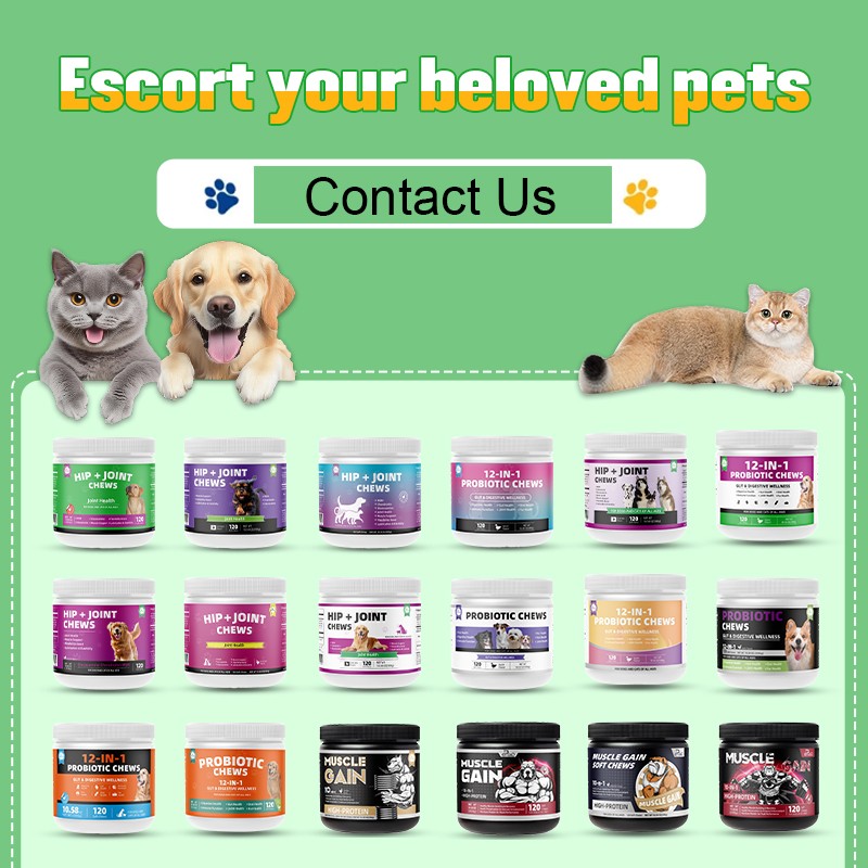 Pet Yuan Private Label Dog Probiotics Digestive Enzymes Probiotics Chews Immune Support Seasonal Allergies