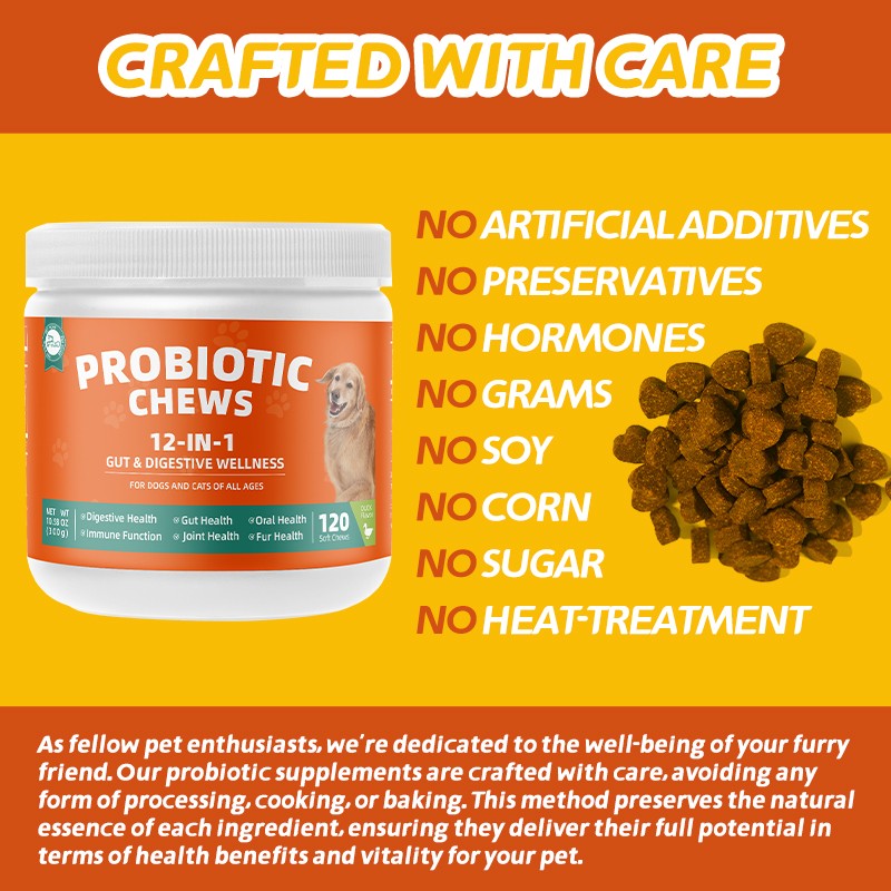 Pet Yuan OEM Pet Intestinal Health Soft Chew Supplements Soft Chew Pet Food and Supplements