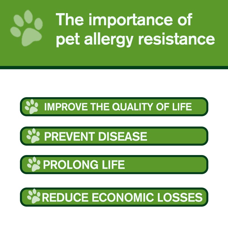 Accept Customization Effective Pet Anti-Allergy Itch Relief Chews Natural Ingredients Immune Support for Dogs