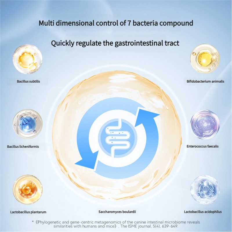 Soft Chewable Natural Dog Vitamin Dog Multivitamin Supplement for Immune Digestion Joints