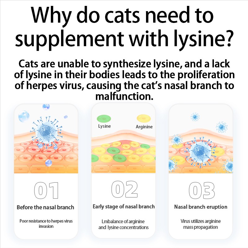 Pet Yuan Kitten and Adult Cat Immunity Booster Cat Nutrition Supplement Kitten Cold and Flu Remedy Cat Health Supplement