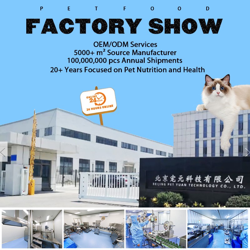 Pet Yuan Pet Nutritional Private Label Probiotics Supplements Advanced Probiotic Soft Chews for Dogs Cats