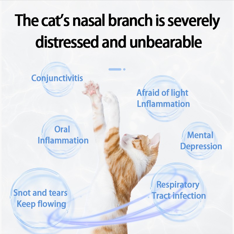 Pet Yuan Kitten and Adult Cat Immunity Booster Cat Nutrition Supplement Kitten Cold and Flu Remedy Cat Health Supplement