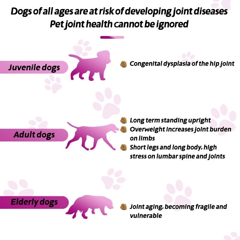 Pet Yuan Dog Cat Chews Pet Hip and Joint Support Supplement Natural Turmeric Curcumin Dog Chews