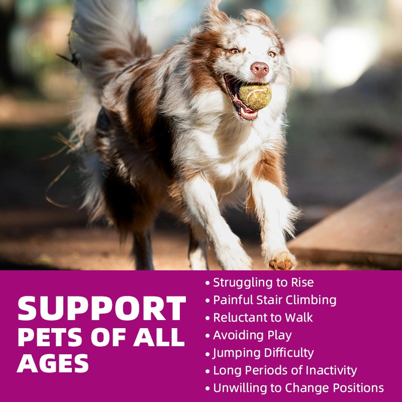 Pet Yuan High Quality Supplement Pet Joint Support Tablets Vitamin Supplement Hip and Mobility