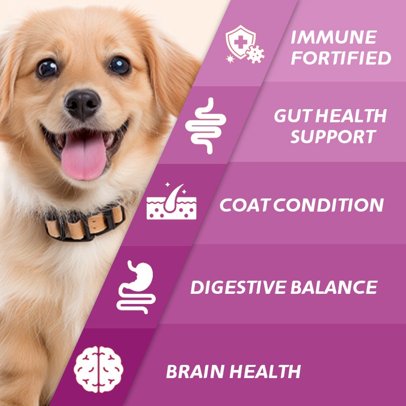 Pet 12 in 1 Probiotic Vitamin Chewable Tablets Natural Formula Supports Overall Pet Health and Enhances Immunity