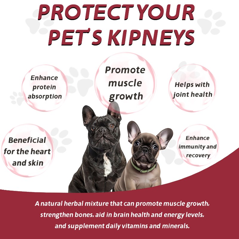 Pet Yuan Wholesale Organic Supplements Pet Supplement Bully Max Muscle Building Muscle Build Chews