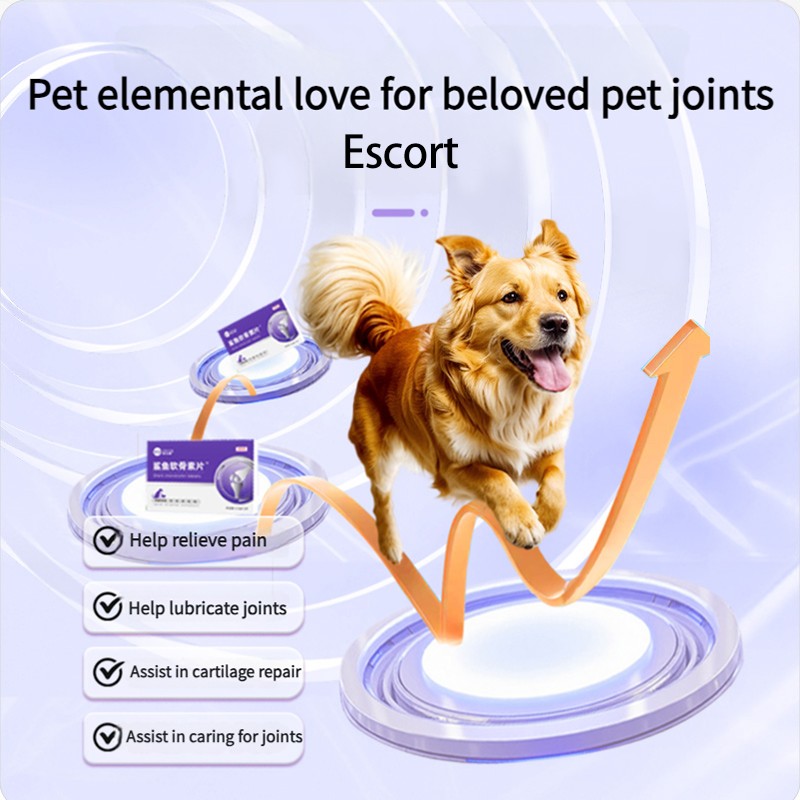 Pet Yuan Easy Use Chewable Dog Pet Nutritional Supplement Calcium Tablets Strong Bones Vitamin Include