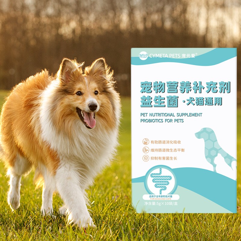 China Factory Supply  Pet Probiotics Liquid Probiotic Chews for Pets Pet Probiotics Powder