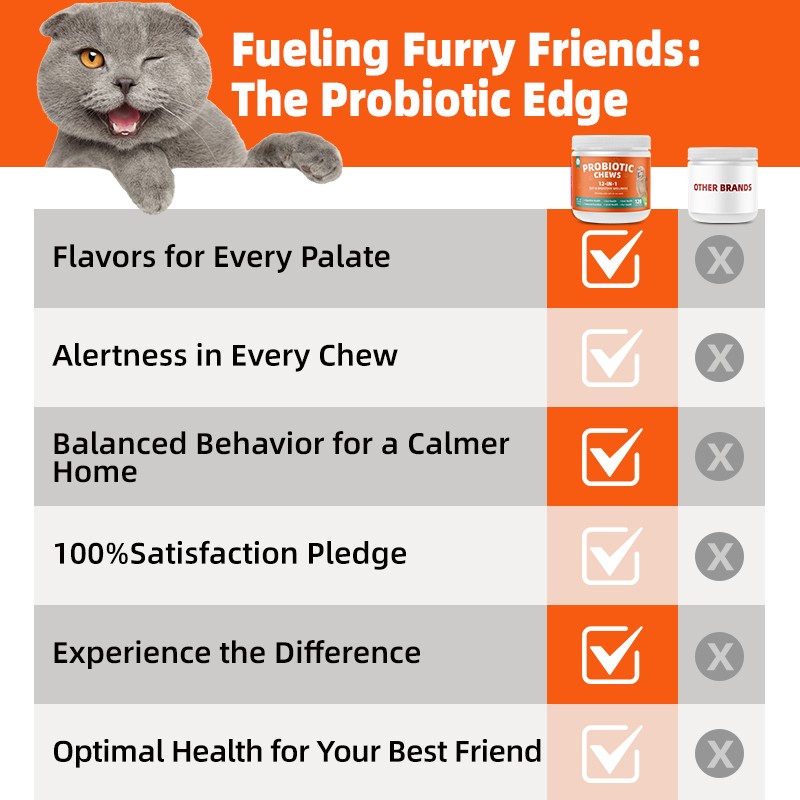 Pet Yuan Probiotics Support Customizable Flavors Pets Supplement Tablet Pet Health Care