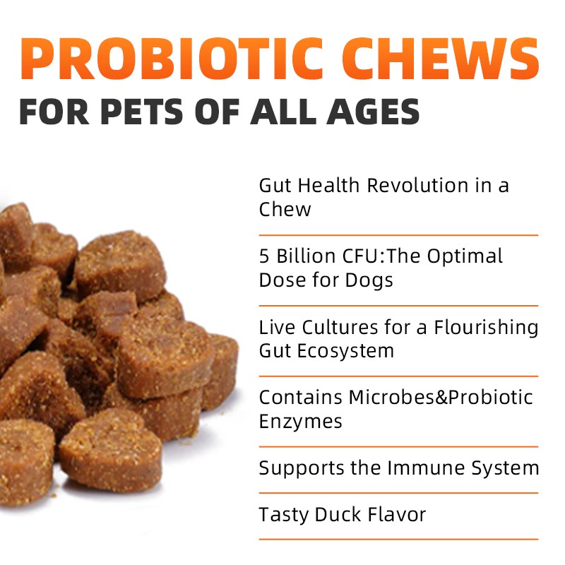 Pet Yuan 12 in 1 Pet Supplements Chews Private Label Probiotic Chews Health Supplements  for Dogs
