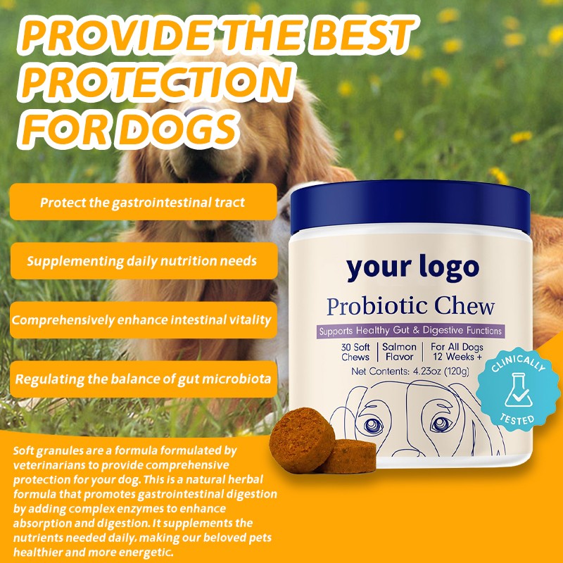 Wholesale Pet Probiotic Supplement Vitamins Probiotic Cat Supplement Promote Healiny Bowel