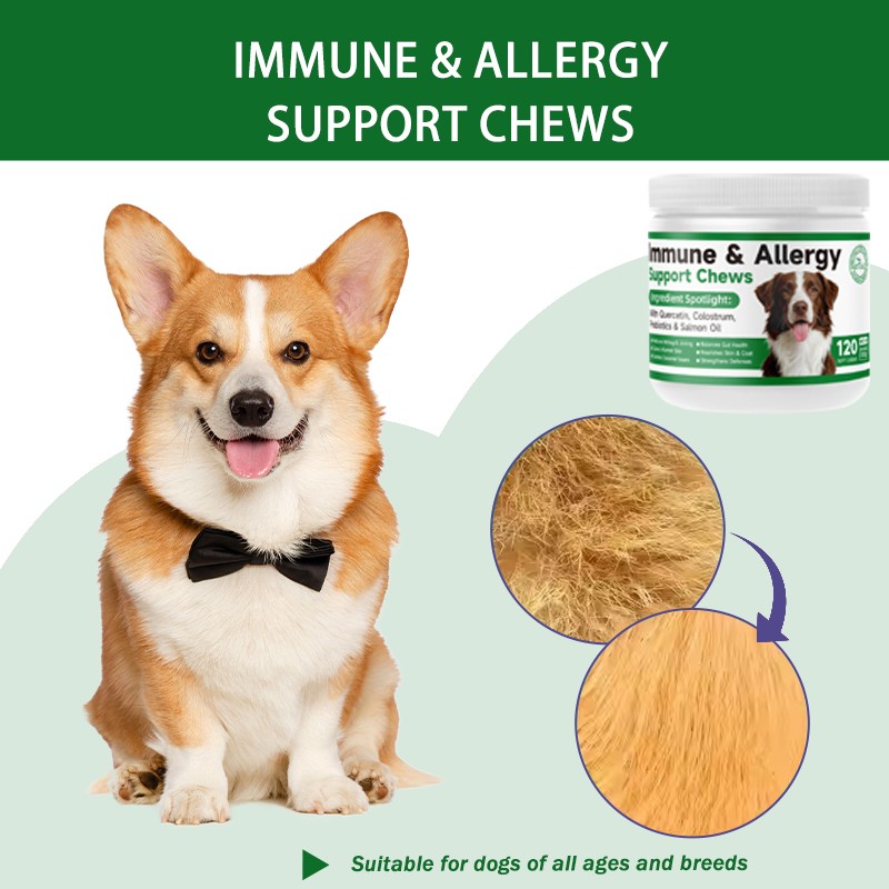 Custom Dog Immunization and Allergy Support Chewing Tablets Reduce Itching and Licking Balance Intestinal Health