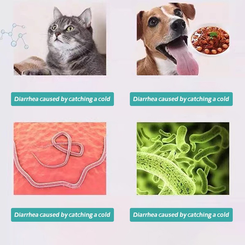 Factory Direct Price Diarrhea Nutrient Solution Pet Nutritional Supplement Pet Nutrition Solution