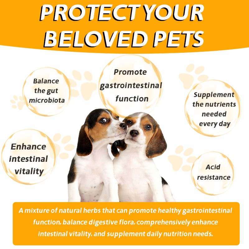Wholesale Pet Probiotic Supplement Vitamins Probiotic Cat Supplement Promote Healiny Bowel