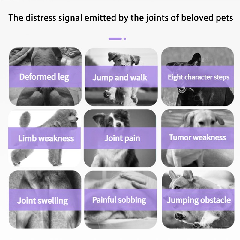 Pet Yuan Easy Use Chewable Dog Pet Nutritional Supplement Calcium Tablets Strong Bones Vitamin Include