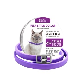 China Factory Supply  Pet Collars Leashes Harnesses Leather Pet Collar Smart Collar for Pets