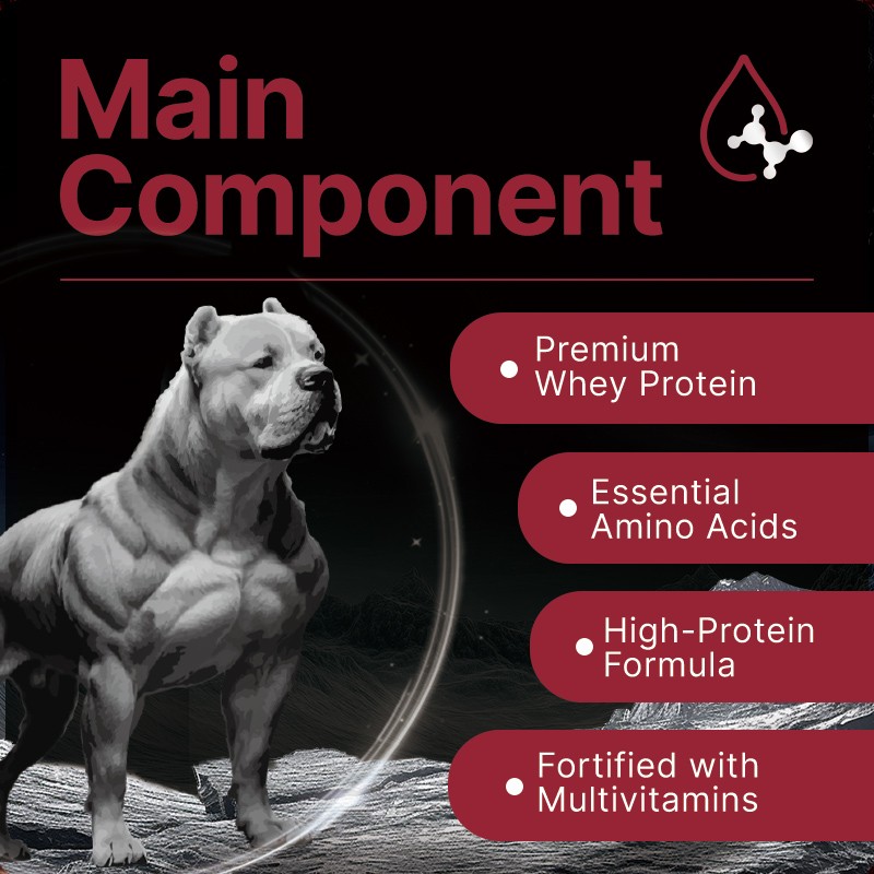 Muscle Gain Power Soft Chews Strengthens Muscle Growth Maintenance Suppelments Pet Nutritional Muscle Builder for Dogs